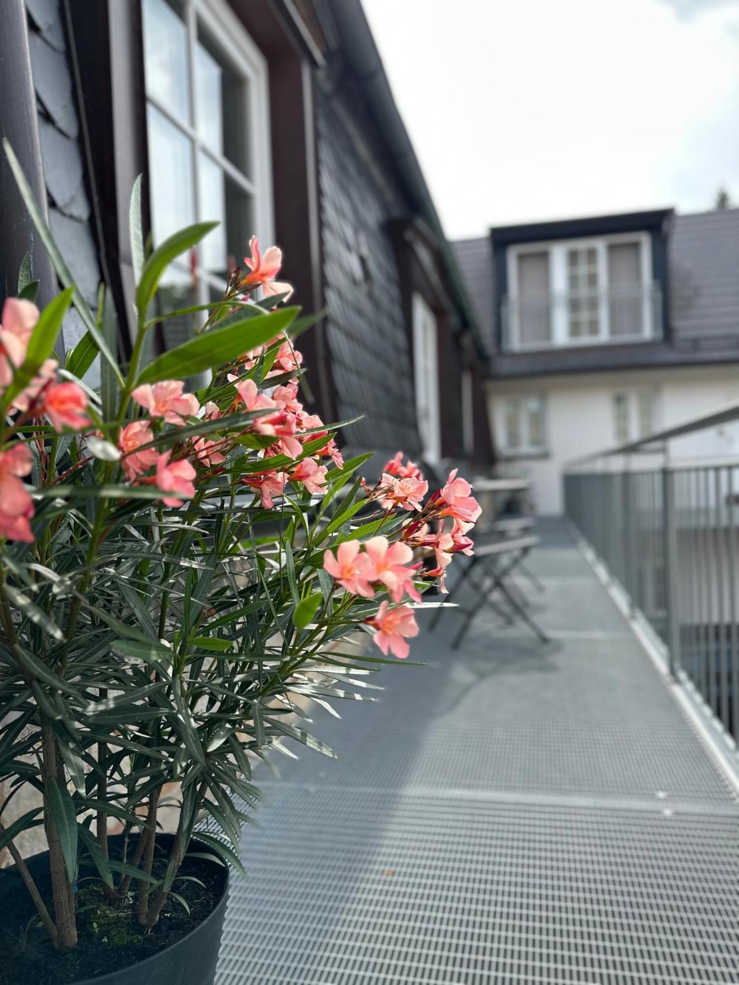 Apartment Rotmain