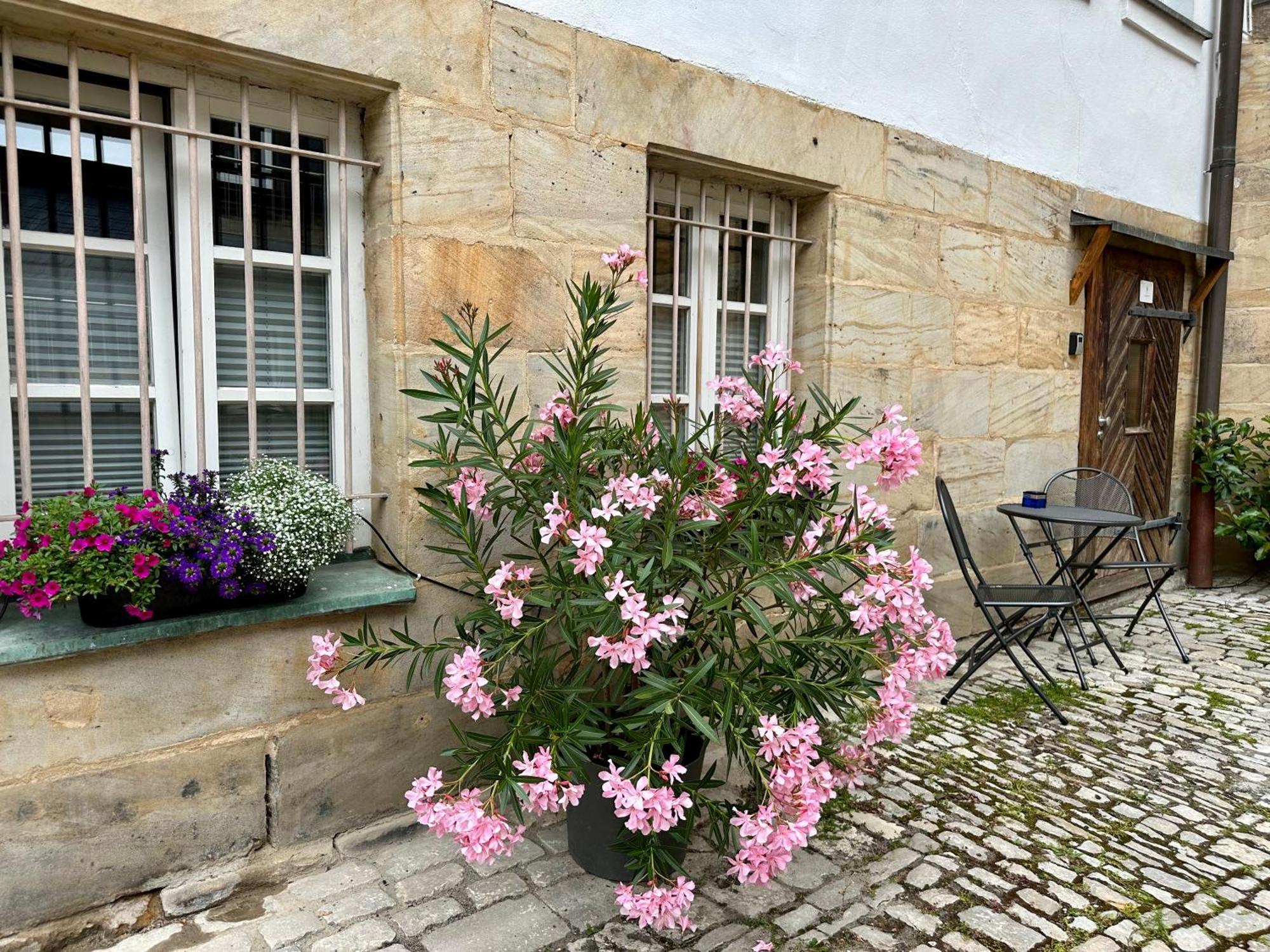 Apartment Rotmain Bayreuth